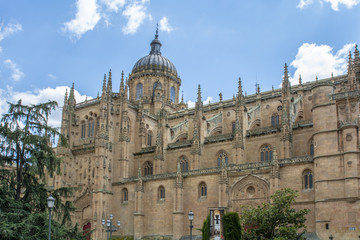 Fototapeta na wymiar Catedral nueva de Salamanca, España 