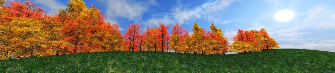 Naklejka premium Edge of the autumn forest. Panorama of autumn trees. 
