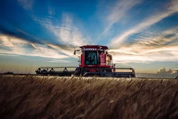 Fotobehang Kansas Harvest  © Amanda