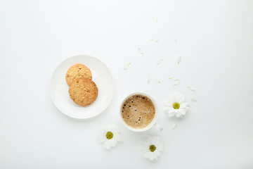Chrysanthemum flowers with cup of coffee and cookies on white background
