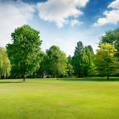 Picturesque green glade in city park. Grass and trees.
