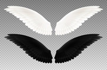 Black And White Wings Transparent Set