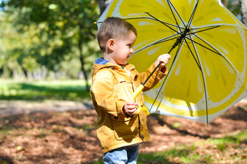Cute toddler boy in yellow rubber boots, yellow raincoat holding a yellow lemon umbrella in an...
