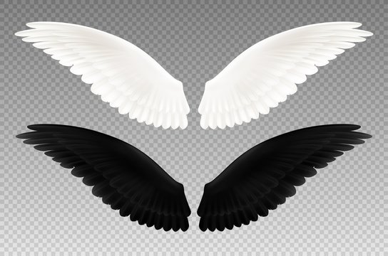Black And White Wings Transparent Set