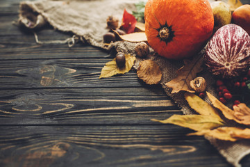 Beautiful Pumpkin, autumn vegetables with colorful leaves,acorns,nuts, berries on wooden rustic table. Space for text. Cozy Fall season. Happy Thanksgiving concept. Atmospheric image.