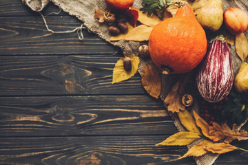 Happy Thanksgiving concept. Beautiful composition of Pumpkin, autumn vegetables with colorful leaves,acorns,nuts, berries on wooden rustic table.Space for text. Cozy Fall season