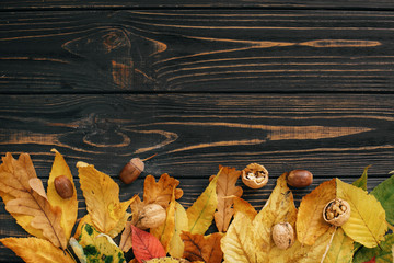 Hello Autumn. Bright colorful autumn leaves with acorns and nuts on rustic wooden table, flat lay. Fall image. Space for text. Happy Thanksgiving. Greeting card mock-up