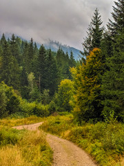 Fototapeta na wymiar The Carpathian mountains landscape during mist in the autumn season