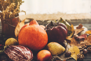 Happy Thanksgiving concept. Beautiful Pumpkin in light, vegetables on bright autumn leaves, acorns, nuts on wooden rustic table. Hello Autumn. Fall season greeting card. Atmospheric image
