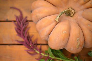 Pumpkins in the garden on a table