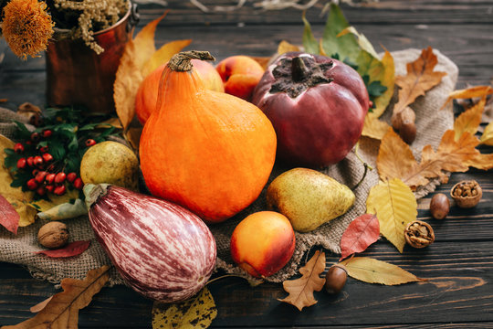 Beautiful Pumpkin in light, vegetables on bright autumn leaves, acorns, nuts on wooden rustic table. Hello Autumn. Fall season greeting card. Atmospheric image. Happy Thanksgiving concept.