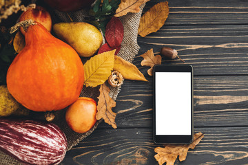 Happy Thanksgiving concept. Phone with empty screen and beautiful Pumpkin with bright autumn leaves, acorns, nuts, berries on wooden rustic table, flat lay. Space for text. Cozy Fall season.