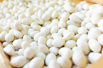 peanuts in white glaze on shop window closeup top view