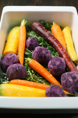 Fresh yellow, purple and orange carrts and purple potatoes on herb pillow in a roasting tray