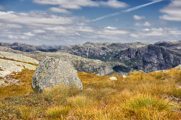 Felsen von Moos umringt