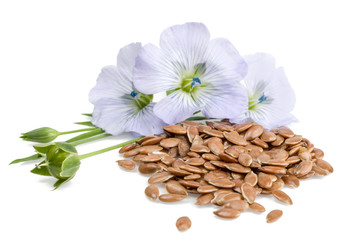 Seeds and flowers of flax isolated on white