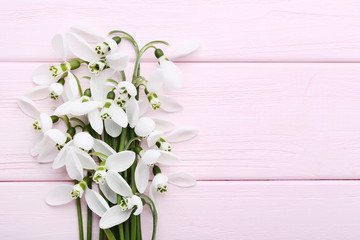 Bouquet of snowdrop flowers on pink wooden table