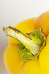 macro photography of seeds of yellow paprika. selective focus, blurred image. cut Bulgarian pepper, Colors of autumn.