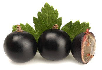 Black currant isolated on white. Macro