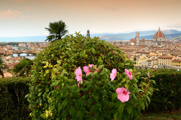 Flowers in a garden at Piazzale Michelangelo in Florence with Cathedral of Santa Maria del Fiore on...