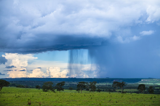 rain over field , chuva no campo