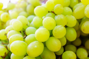 Many berries of white grapes. Juicy white grapes background