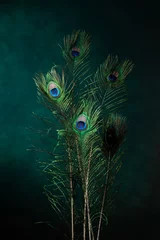 Wandaufkleber peacock feathers © Holly