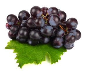 Black grapes isolated on white