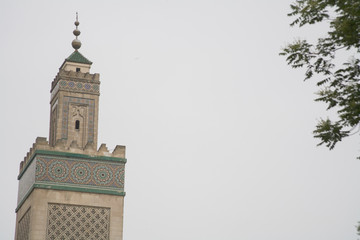 Amazing Mosque of Paris