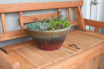 A few plants sharing a home in one pot resting on a beautiful outside wooden bench.