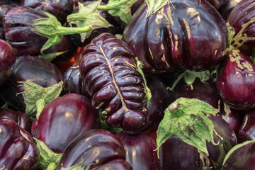 Black Beauty eggpants sold at city market