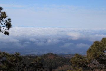 Mountain view of forest hills