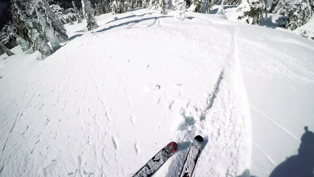POV, person skies down mountain in British Columbia