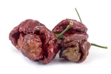 trinidad moruga scorpion chocolate extremely hot pepper variety