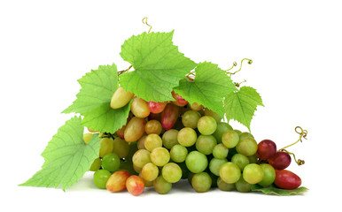 Grapes with leaves and tendrils isolated.Wine-making. Selection of the best berries. Close-up.
