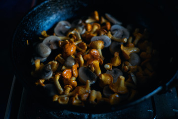 Chanterelle and champignons mushrooms fried in a pan 