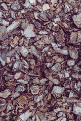 decorative bark on the floral flowerbed day