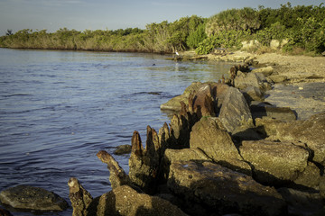 Rocky Shoreline
