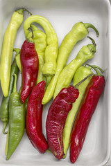 close-up of colorful bitter peppers. Pods of red and green bitter pepper. Harvest vegetables