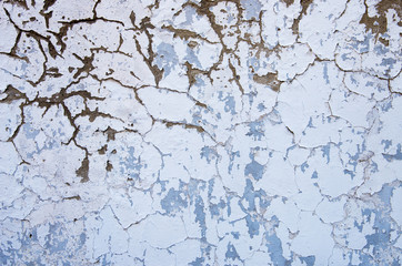 Obraz premium old wall texture