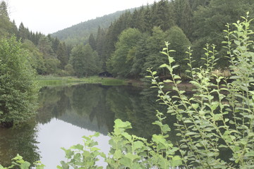 see, wasser, natur, landschaft, wald, berg, baum, himmel, fluss, sommer, green, blau, park, teich,...
