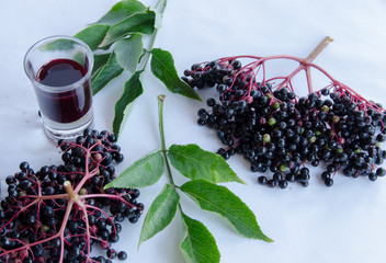 Elderberry vinegar on white background