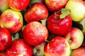 Red heirloom apples overhead background