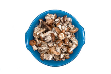 Heap of brown cap boletus leccinum scabrum in the washbowl isolated on white background.