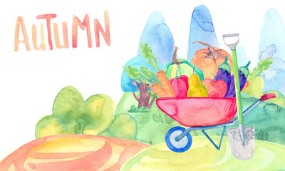 greeting card watercolor cartoon illustration. autumn harvest time. countryside. wheelbarrow with vegetables