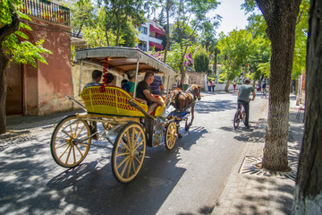 Buyukada Island street view. Coach and Horses at Buyukada, Princes Islands district of Istanbul