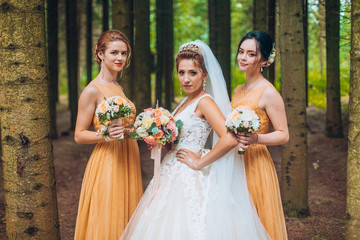 Group portrait of bride in white bridal dress and bridesmaids in orenge dresses. Stylish and luxury...