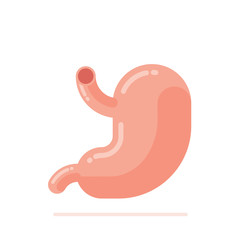 Flat design vector Illustration of human stomach