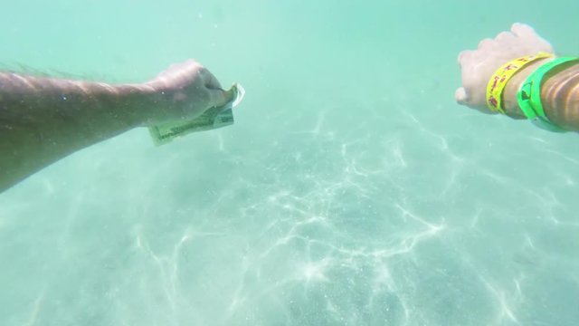 Swimming in tropical water, POV