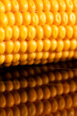 yellow sweet corn grain and a cob in the background.